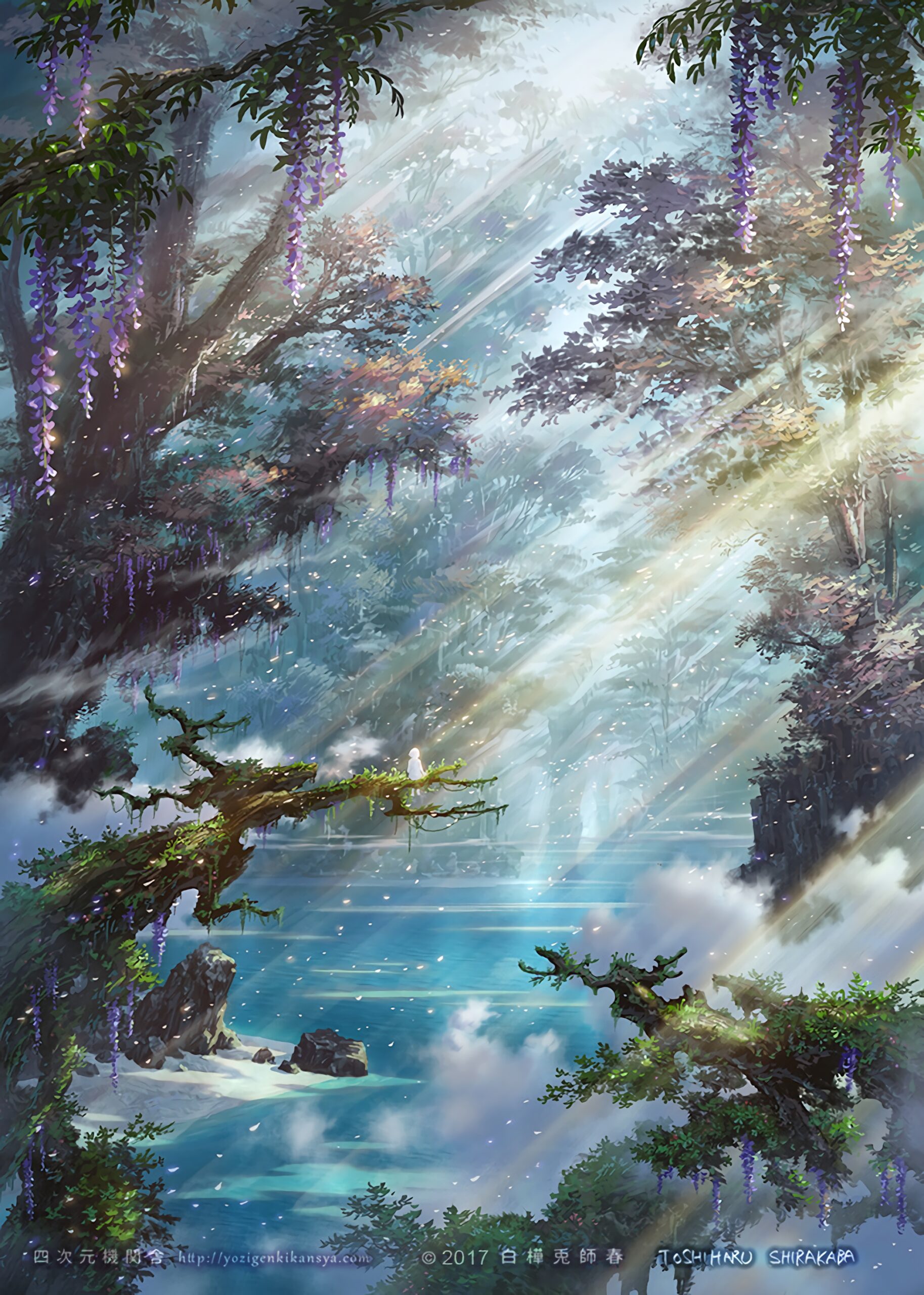 Magical forest glade sun rays through