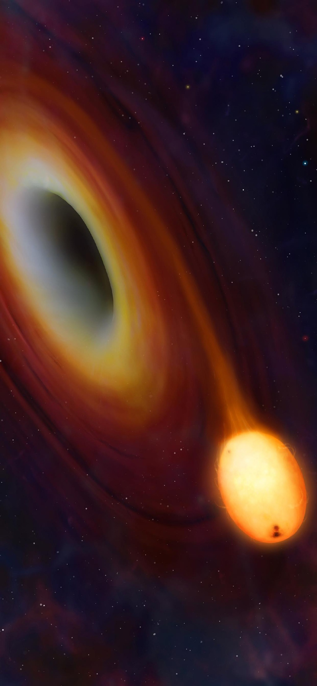 black hole feeding star destruction