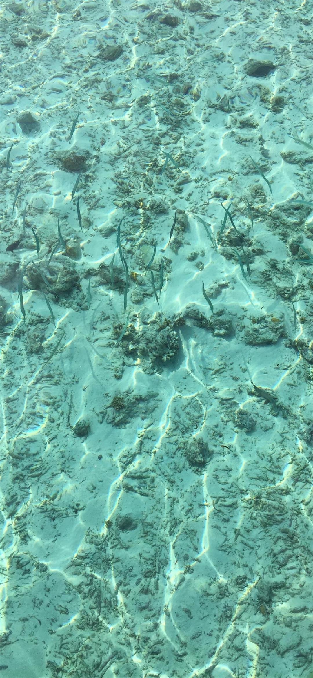 shallow water turquoise water