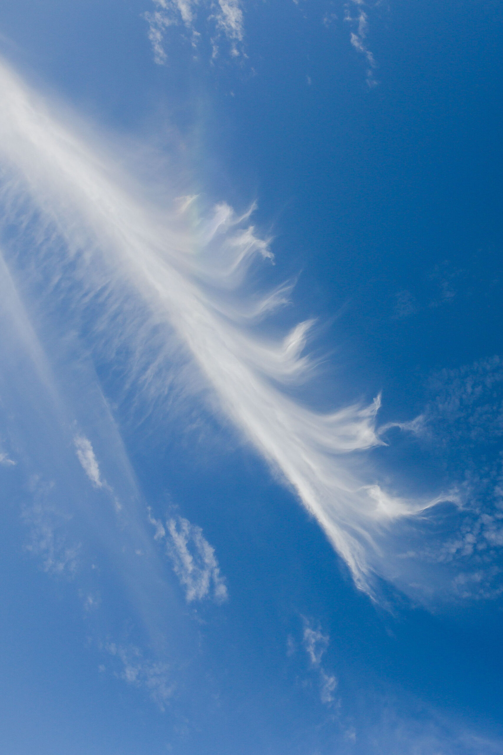 blue sky cirrus cloud feather high