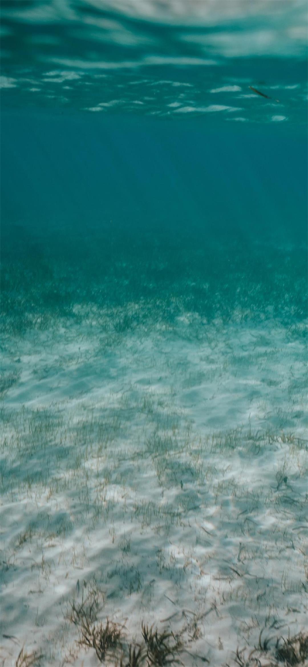 underwater sea ocean sand seabed