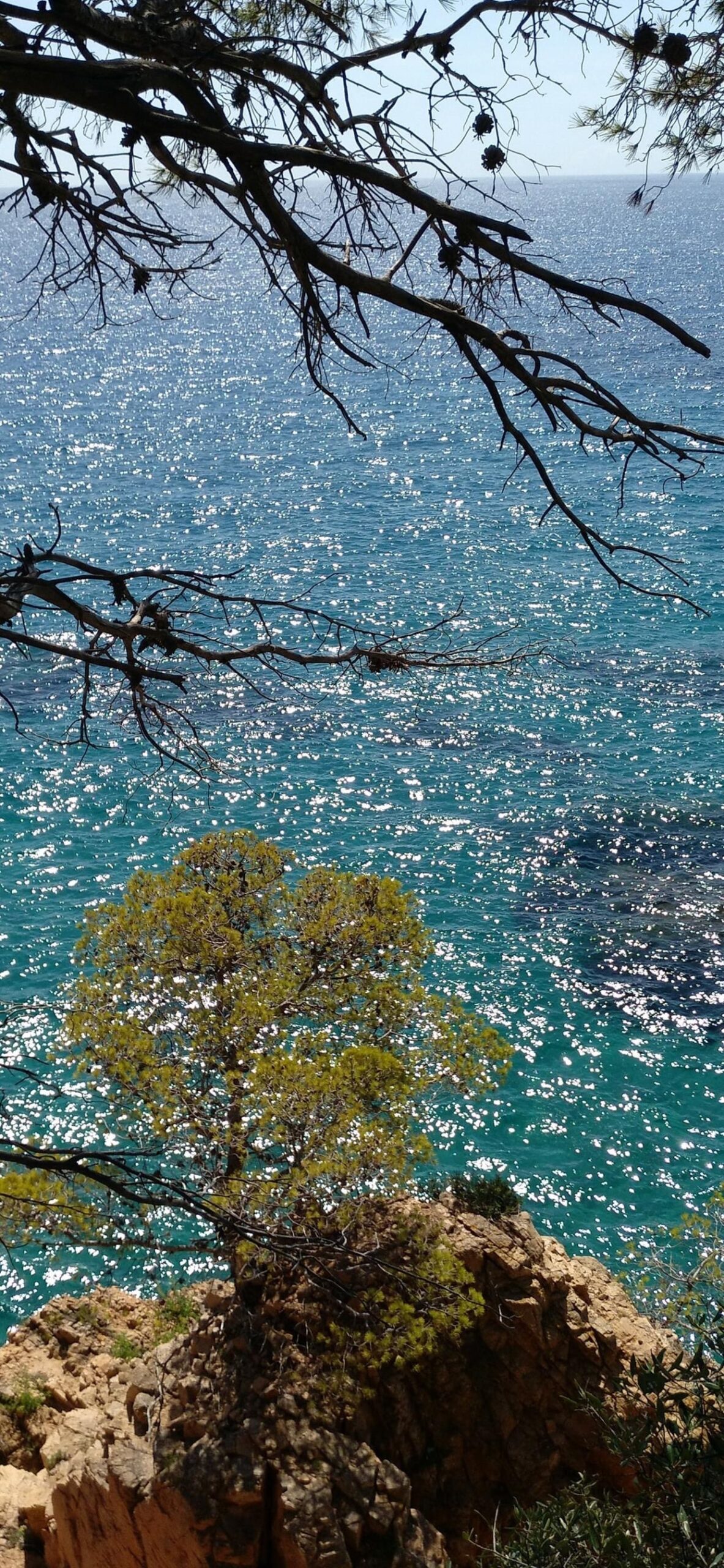 sea ocean turquoise sparkling water