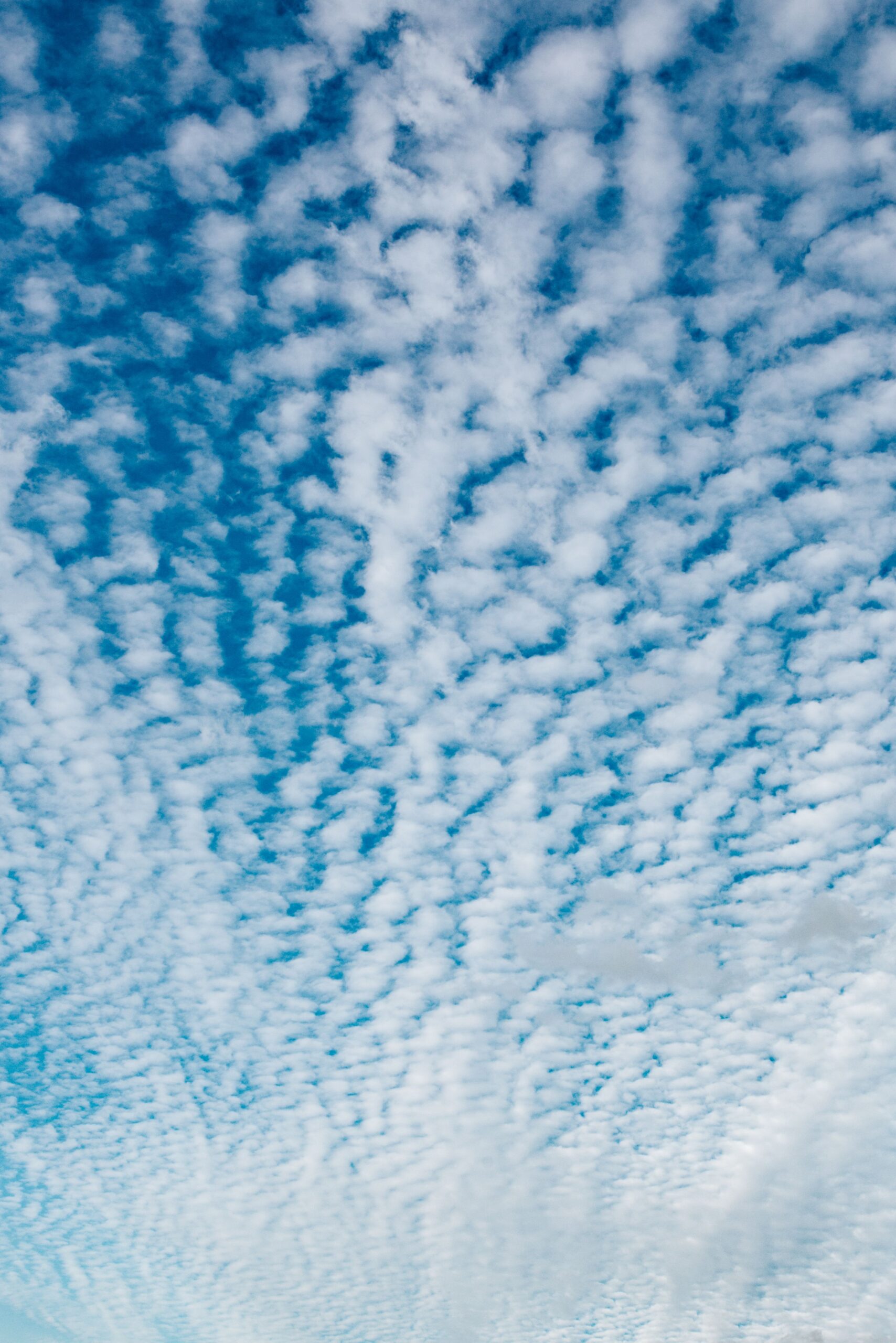 altocumulus clouds blue sky white