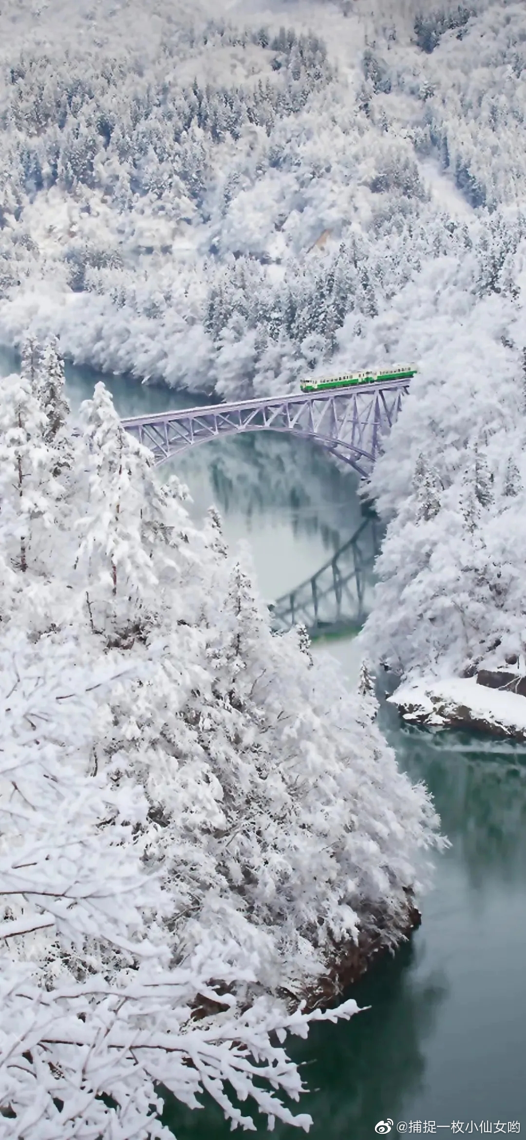 winter snow forest train bridge river