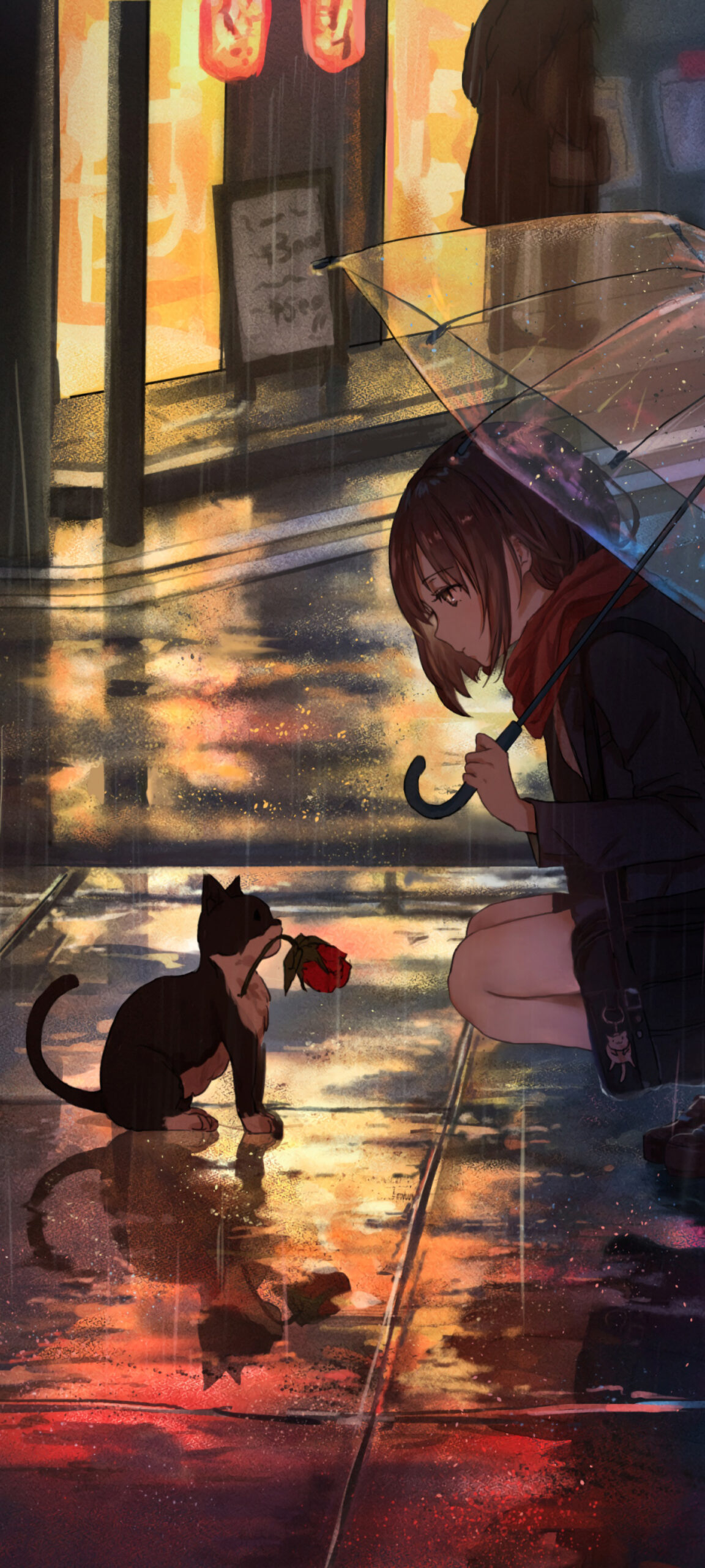 girl cat rose umbrella rain night
