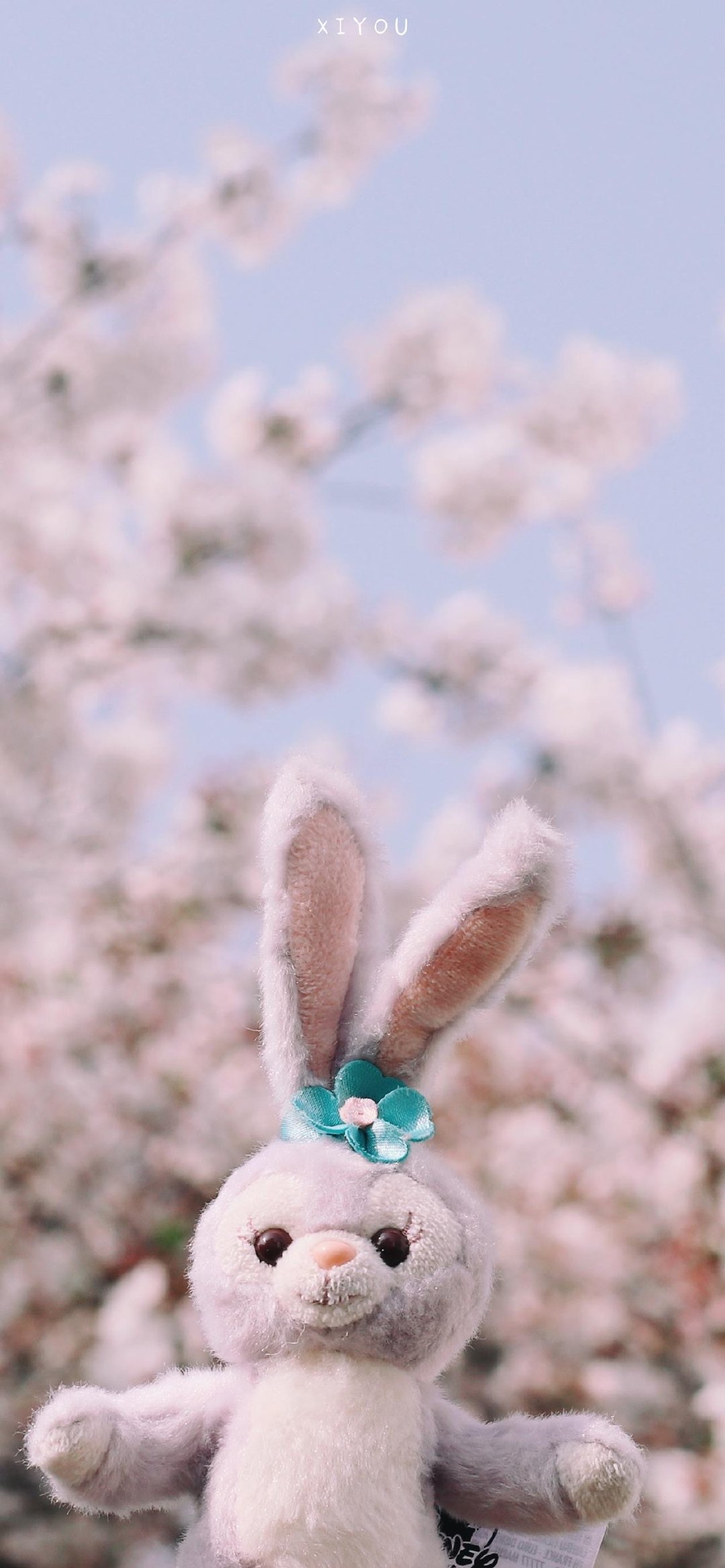 bunny plush cherry blossom sakura pink