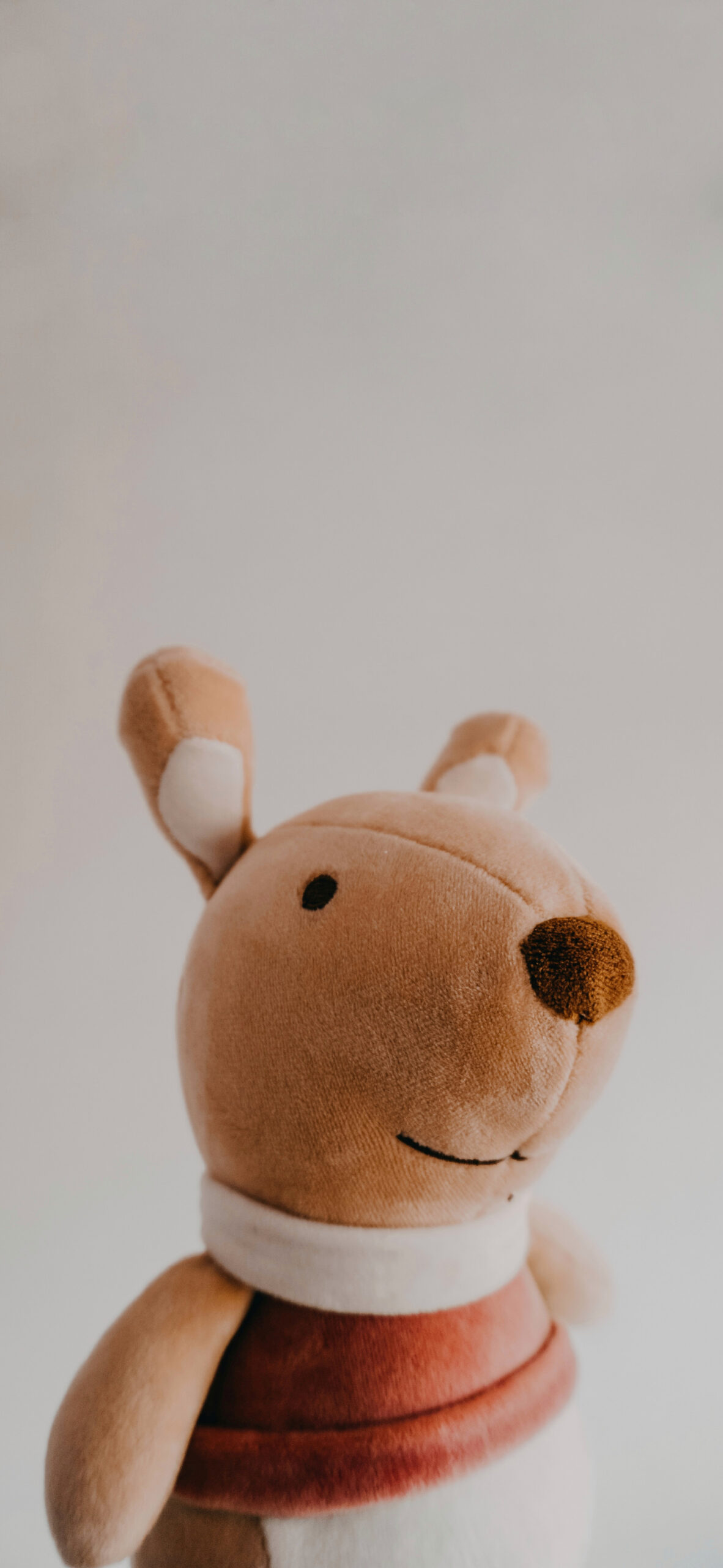 plush toy stuffed animal kangaroo