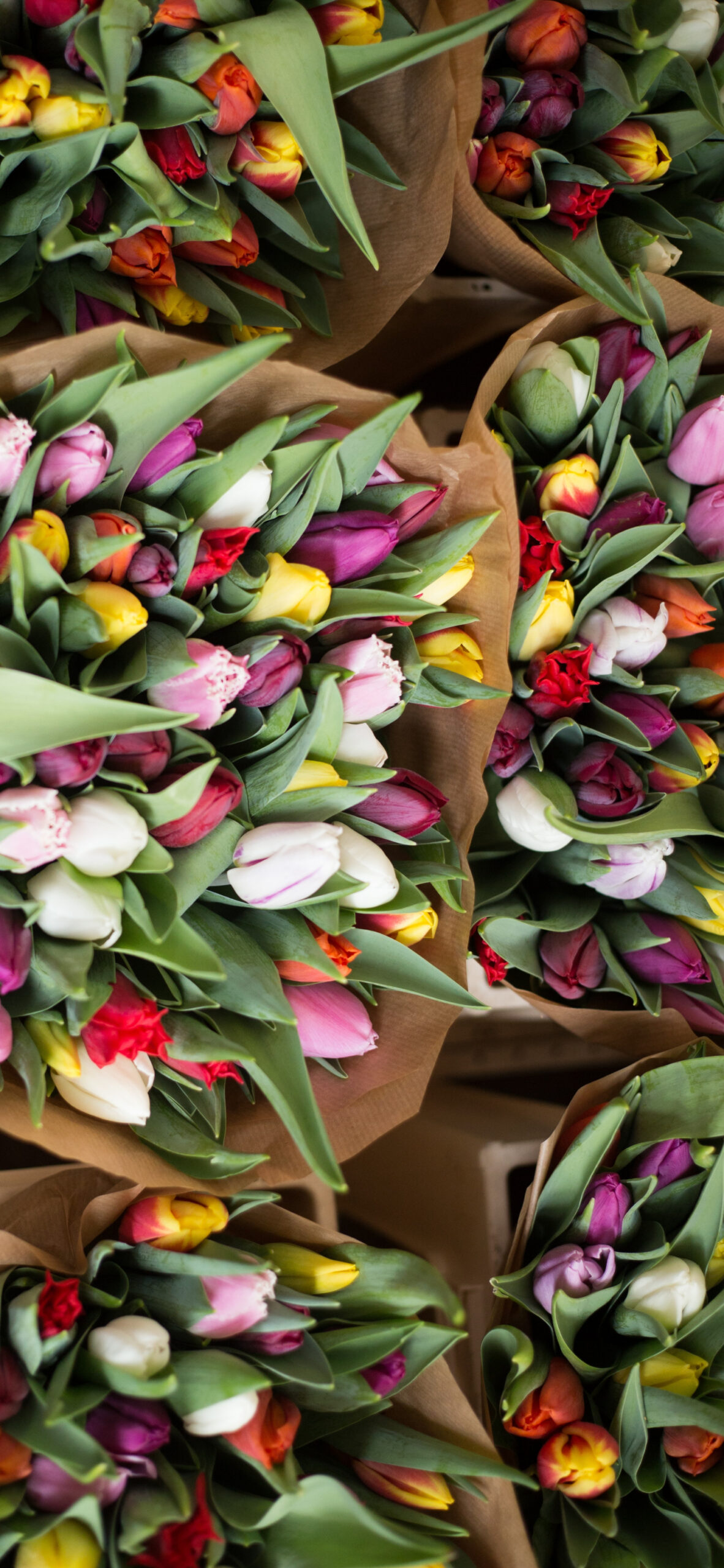 tulips flower bouquet floral market