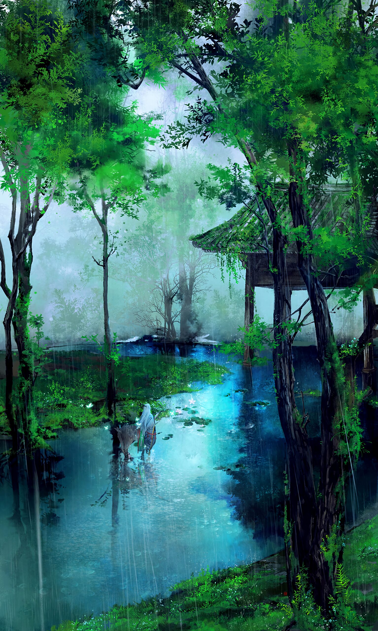 rain forest lush green nature river