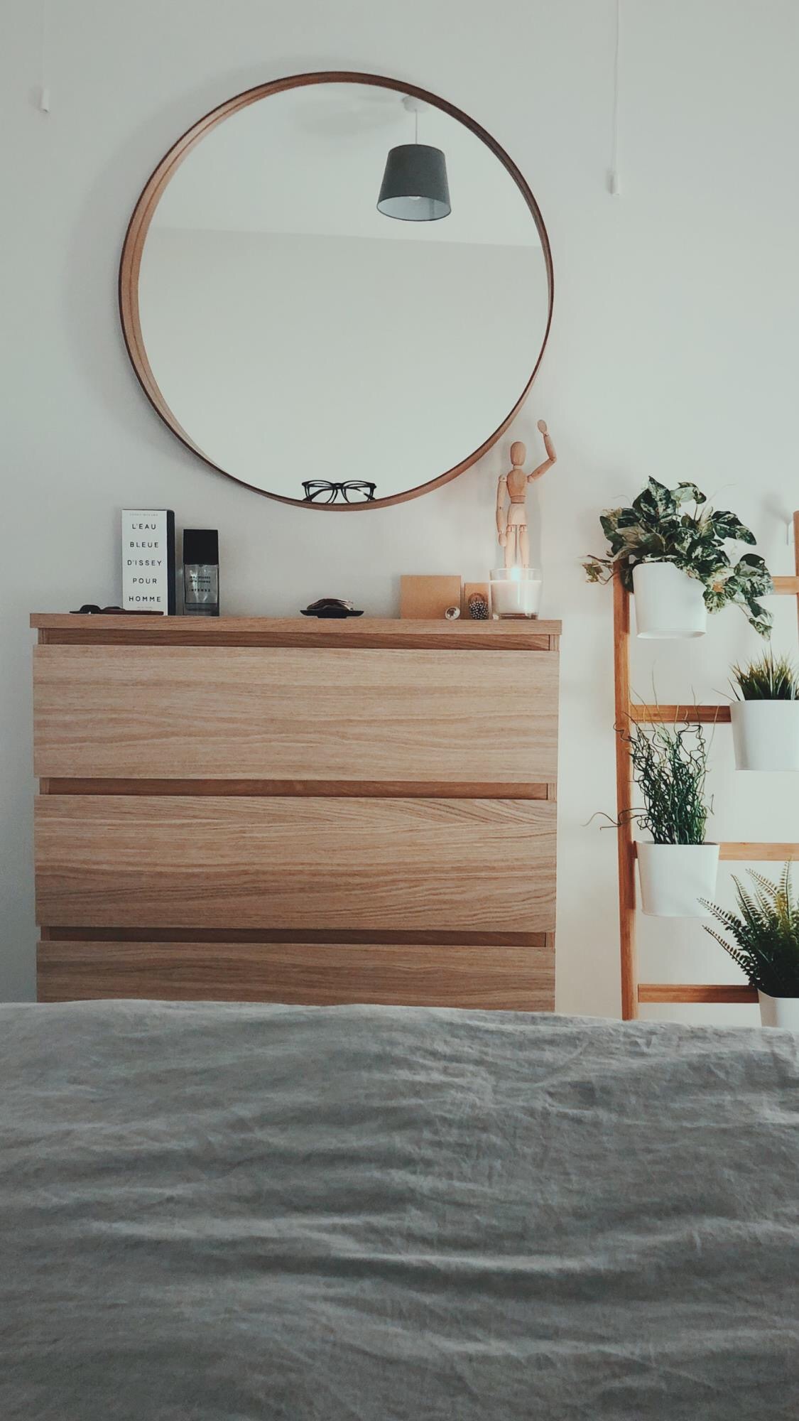 bedroom decor mirror dresser plants