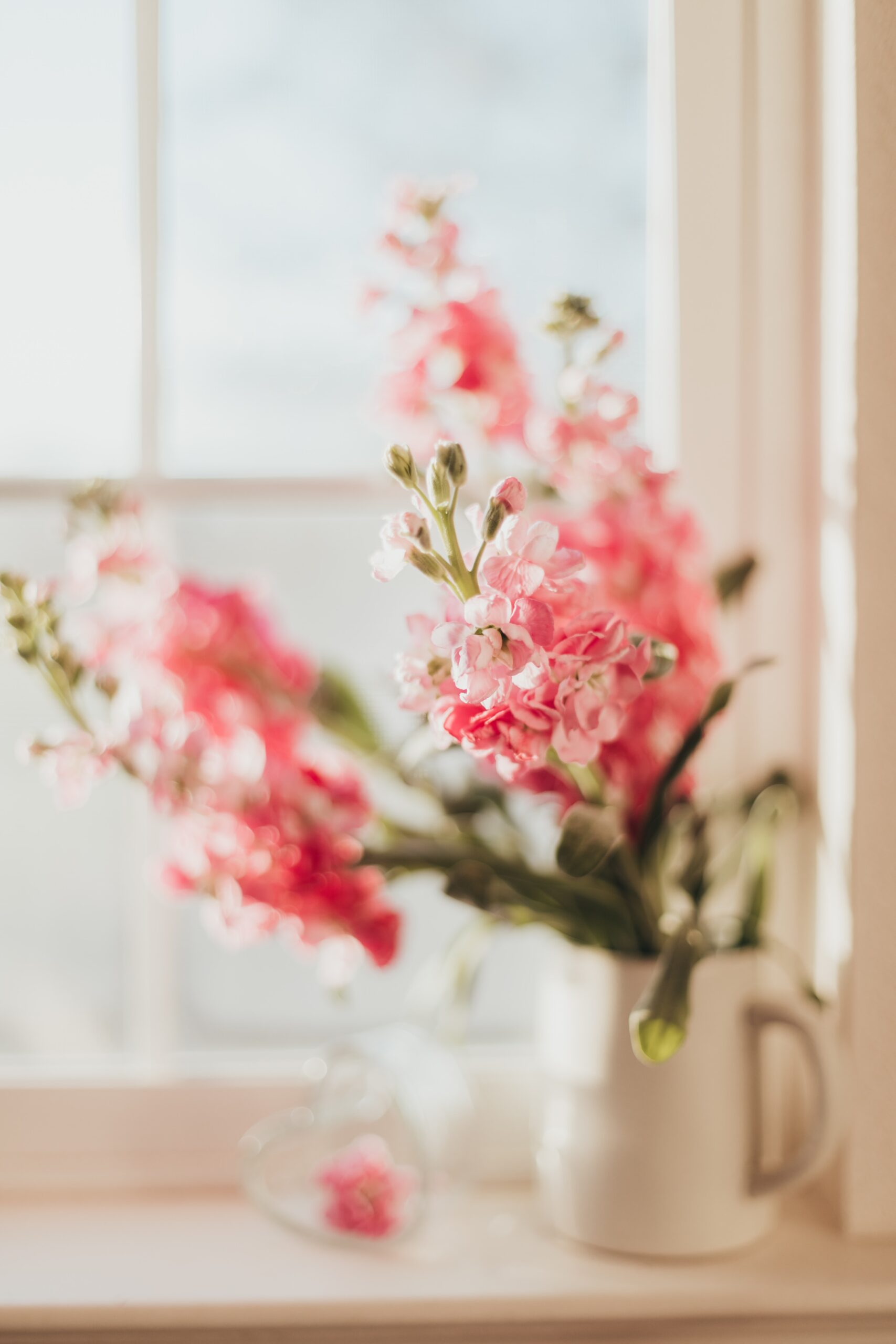 pink flowers window light vase soft