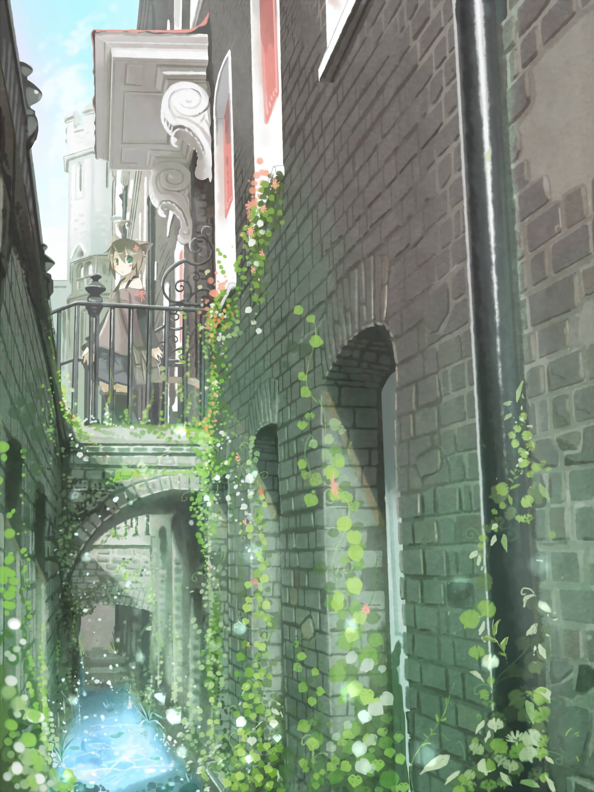 alleyway bricks ivy plants balcony cat