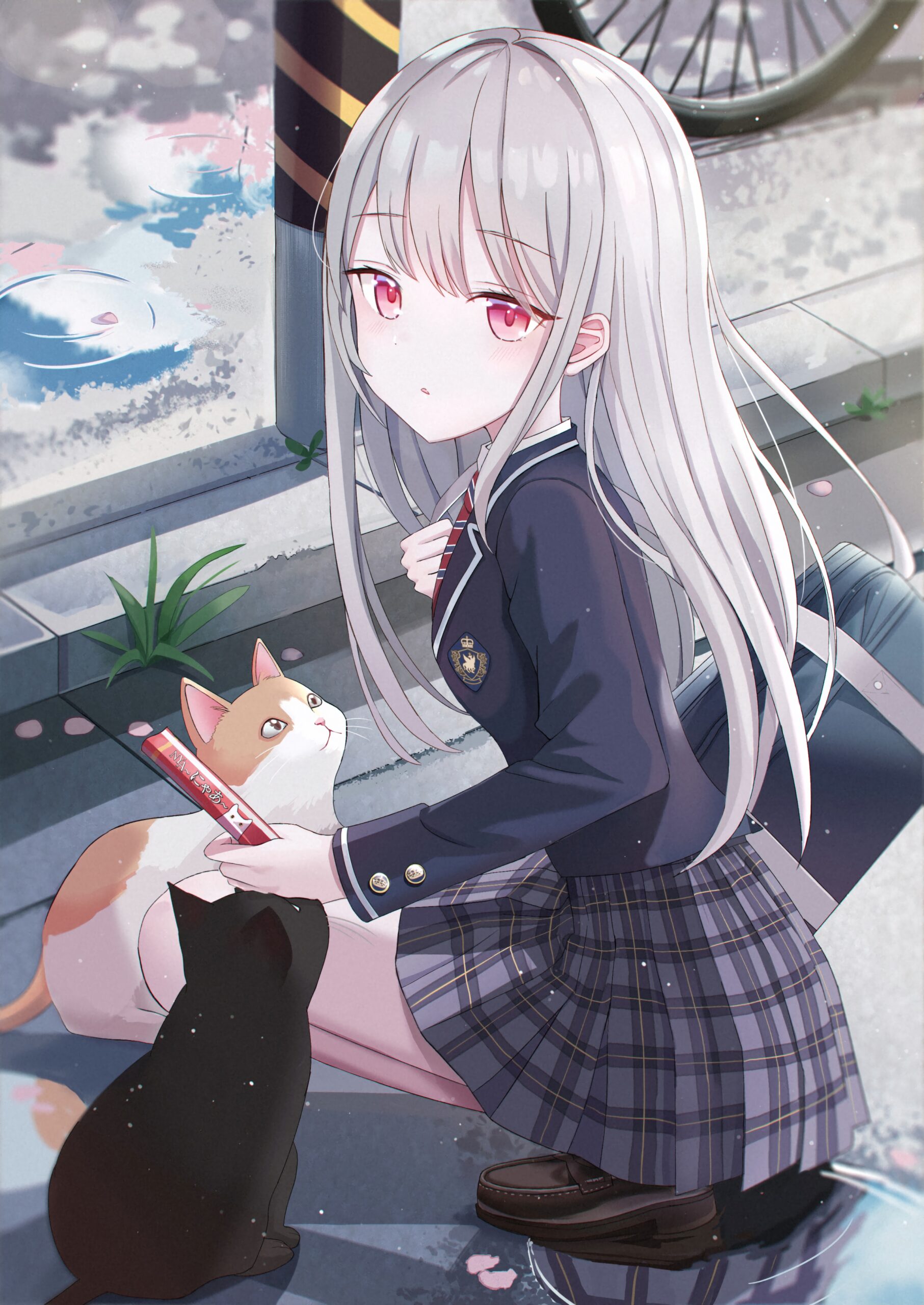 schoolgirl uniform silver hair cat