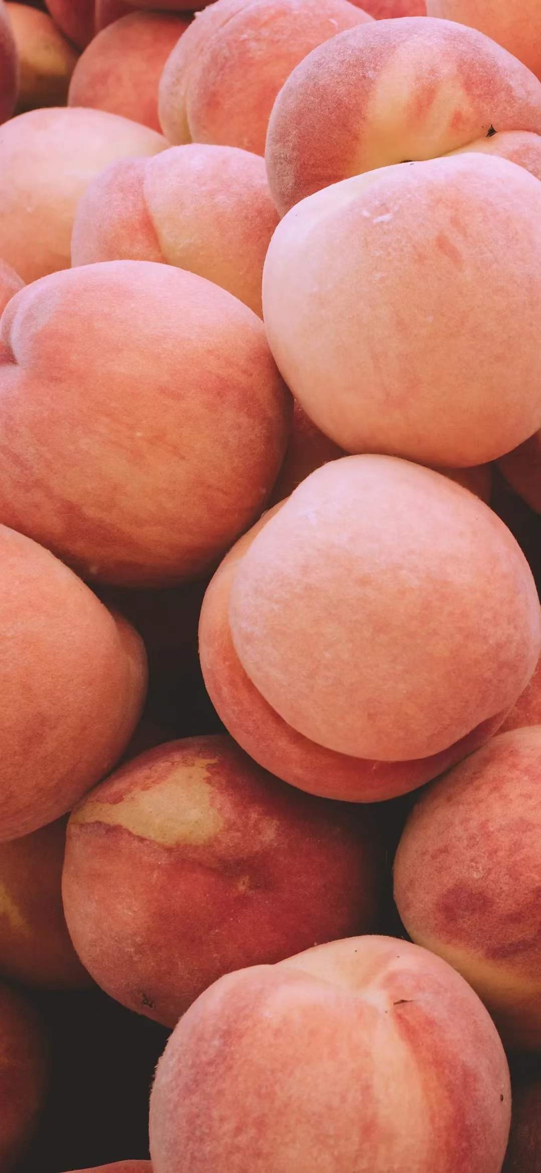 peaches fruit fresh organic summer
