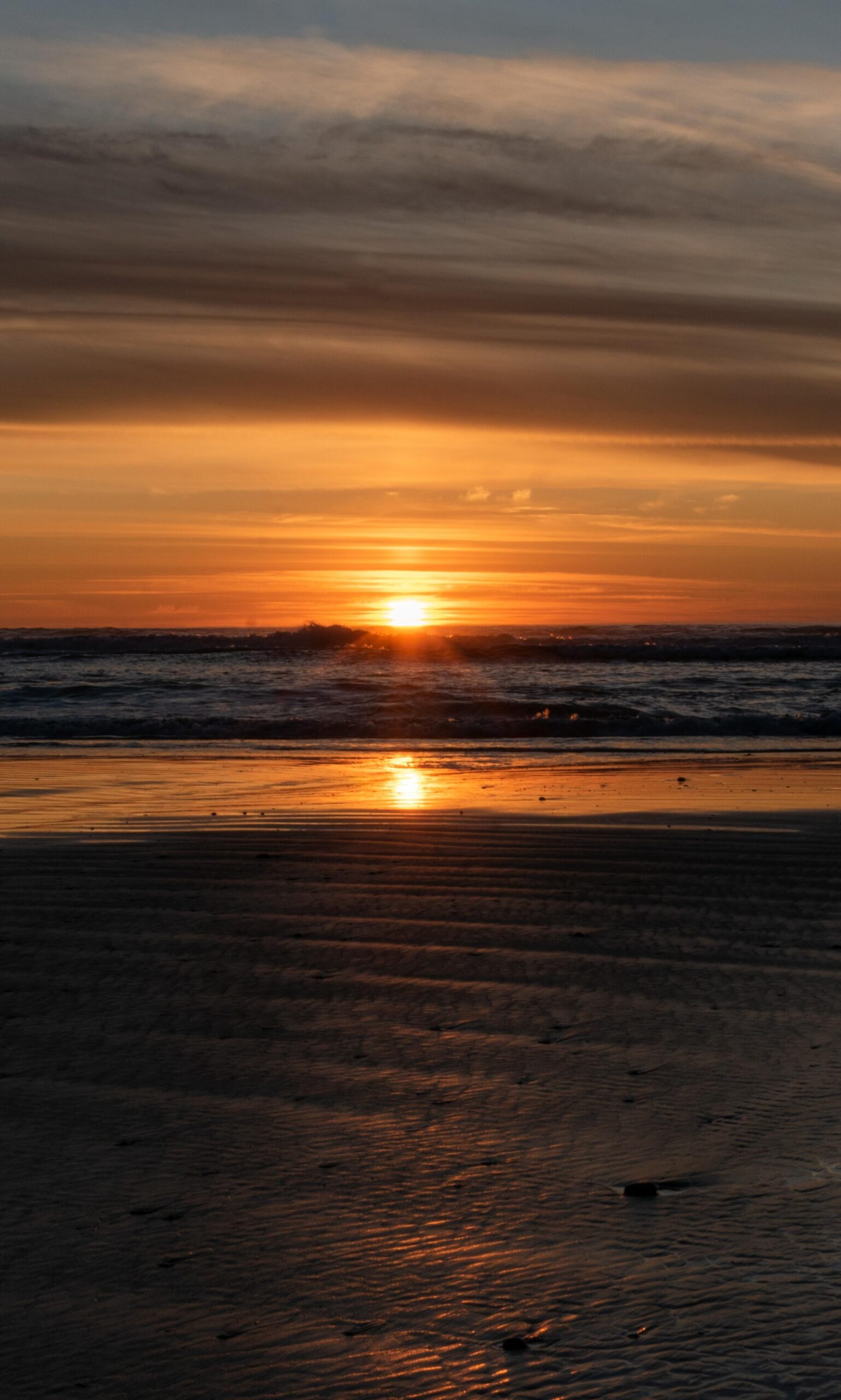 sunset beach ocean sea horizon golden