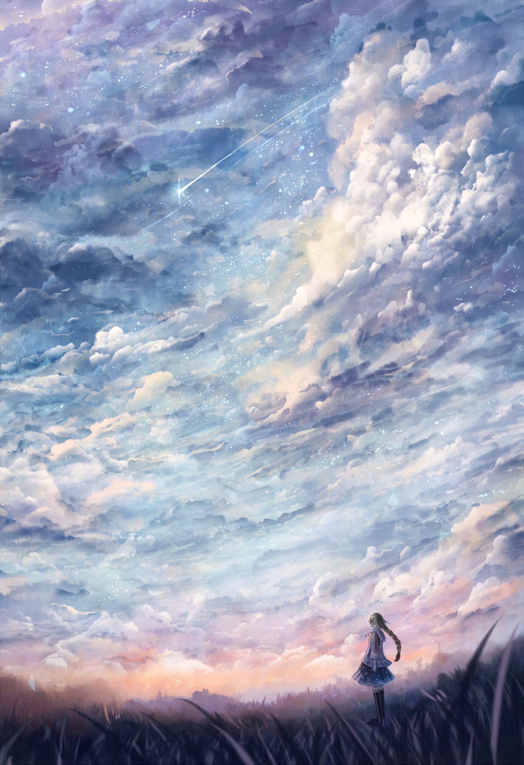 lavender field purple flowers sunset