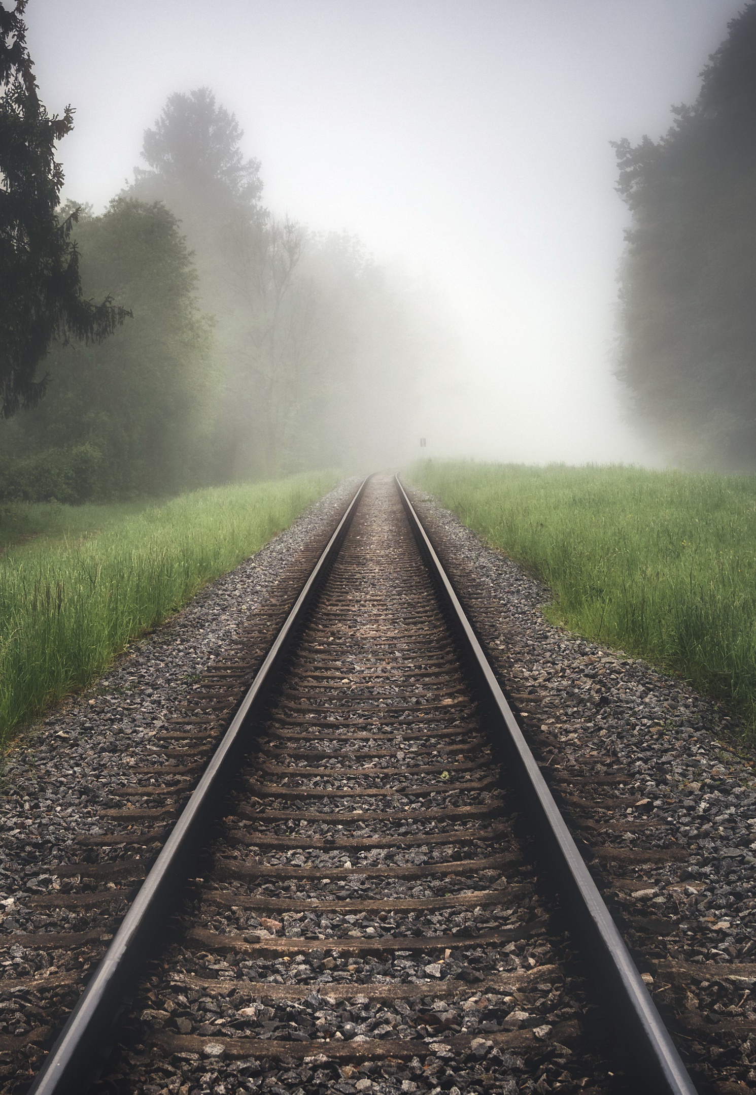 railway fog forest tracks nature