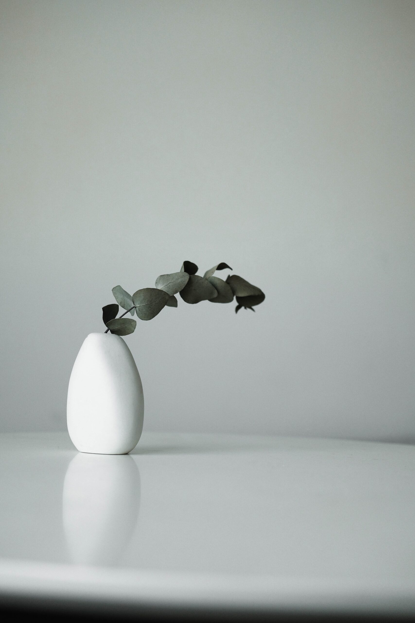 eucalyptus vase minimalism white space