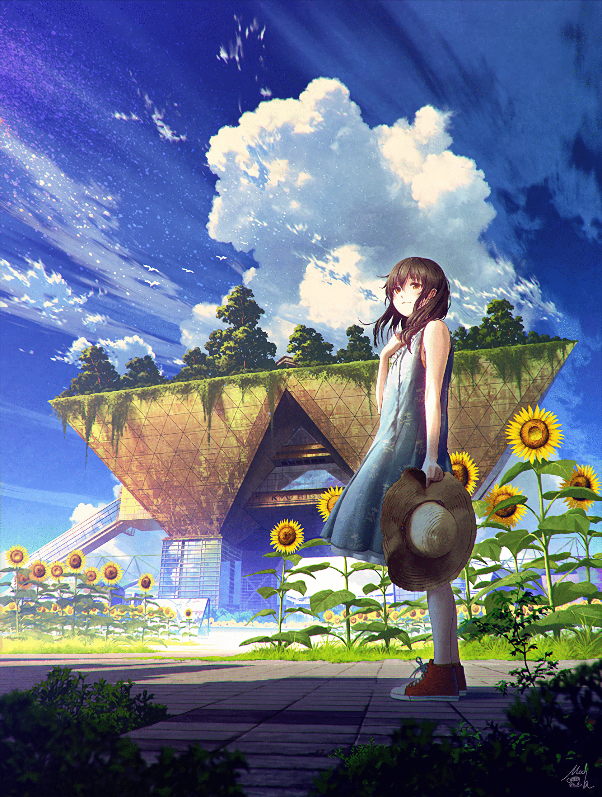 basketball court sunset urban